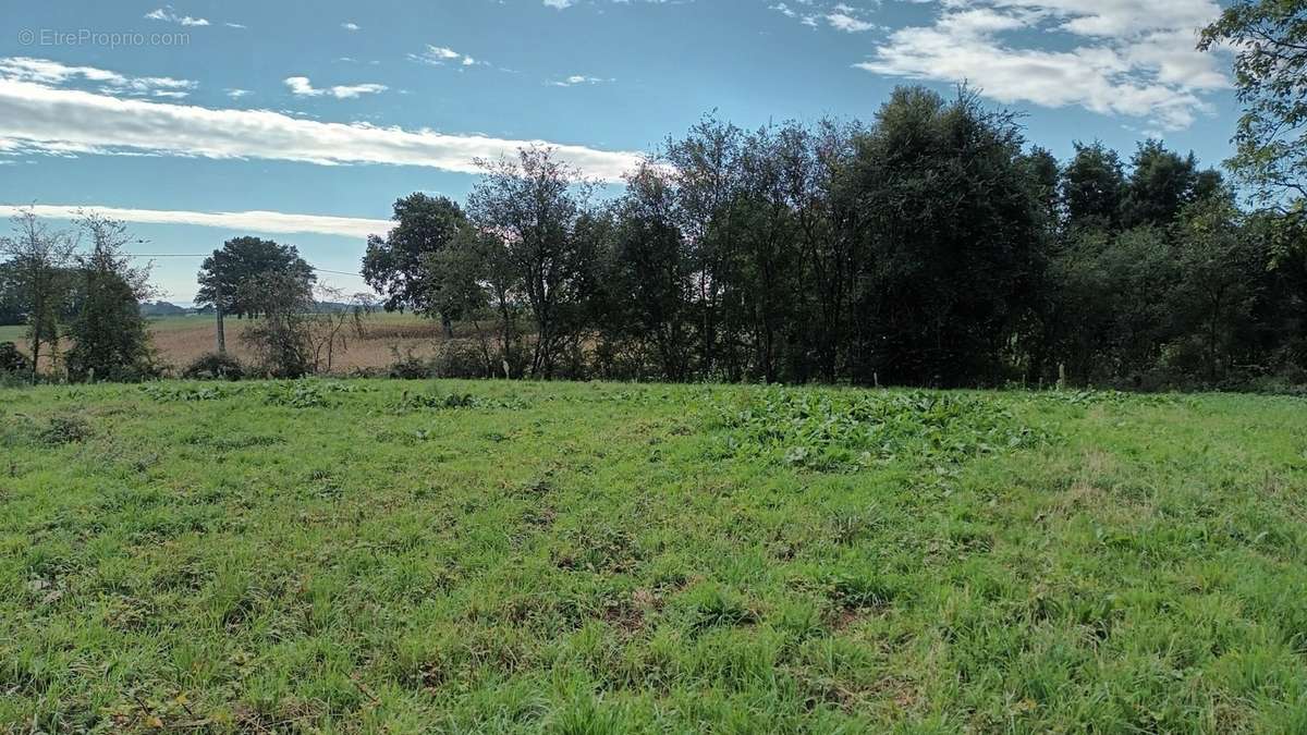 Terrain à MONTREVEL-EN-BRESSE