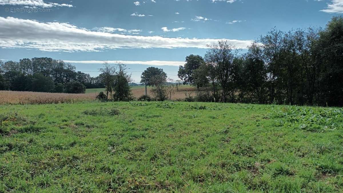 Terrain à MONTREVEL-EN-BRESSE