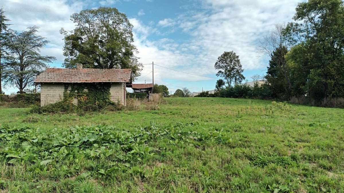 Terrain à MONTREVEL-EN-BRESSE