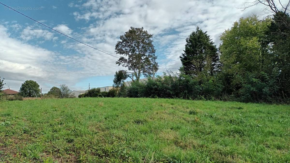 Terrain à MONTREVEL-EN-BRESSE