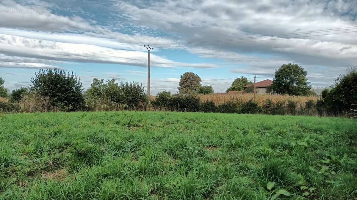 Terrain à MONTREVEL-EN-BRESSE