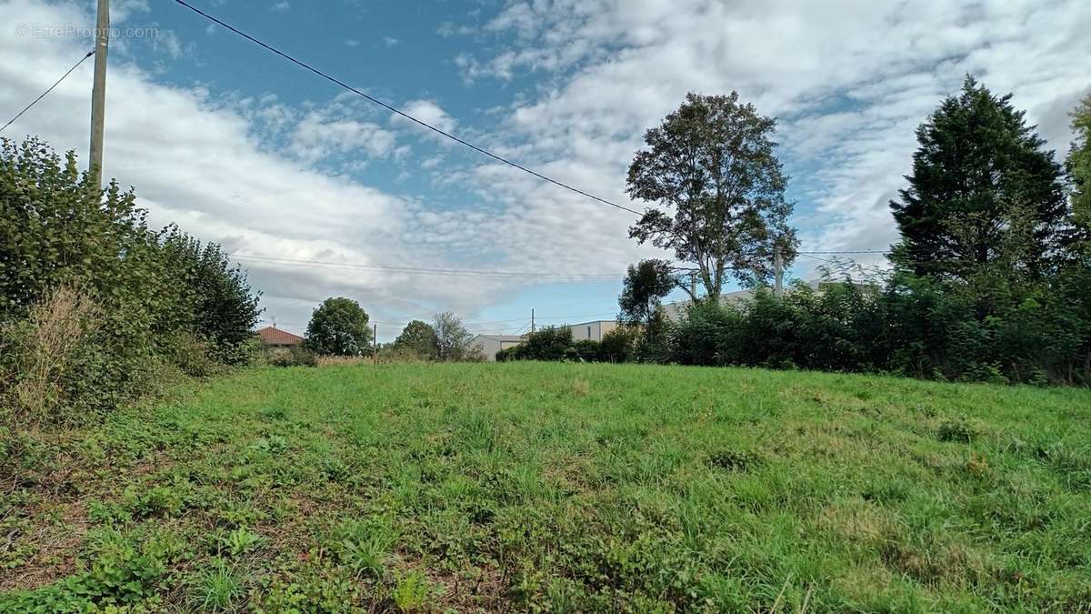 Terrain à MONTREVEL-EN-BRESSE