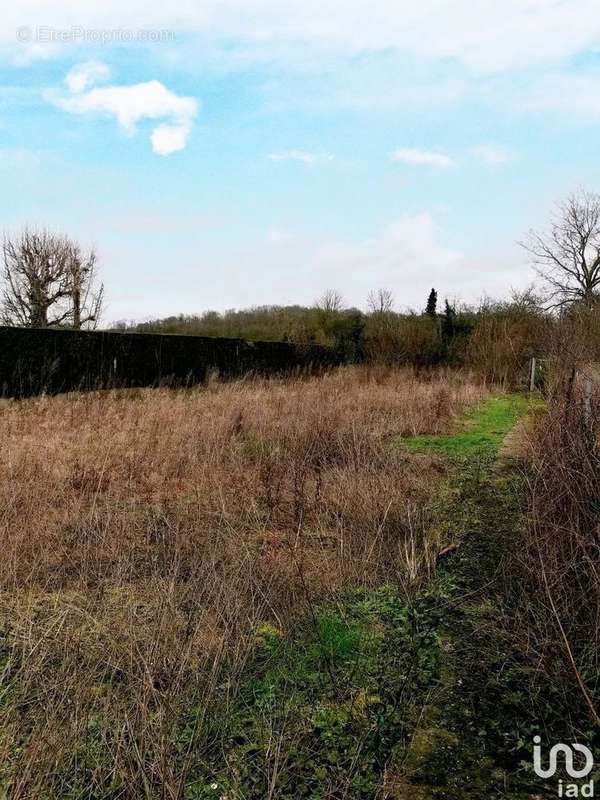 Photo 2 - Terrain à BORAN-SUR-OISE