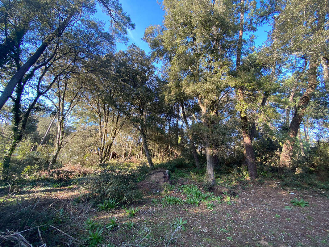 Terrain à BRETIGNOLLES-SUR-MER