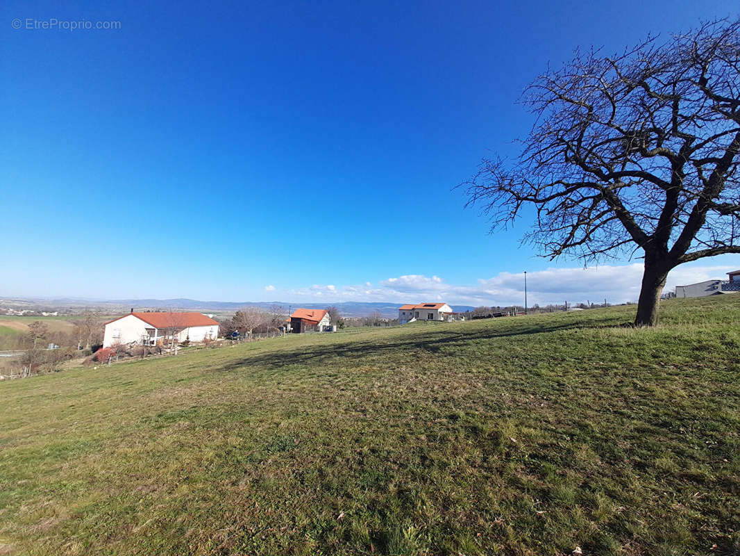 Terrain à BRIOUDE