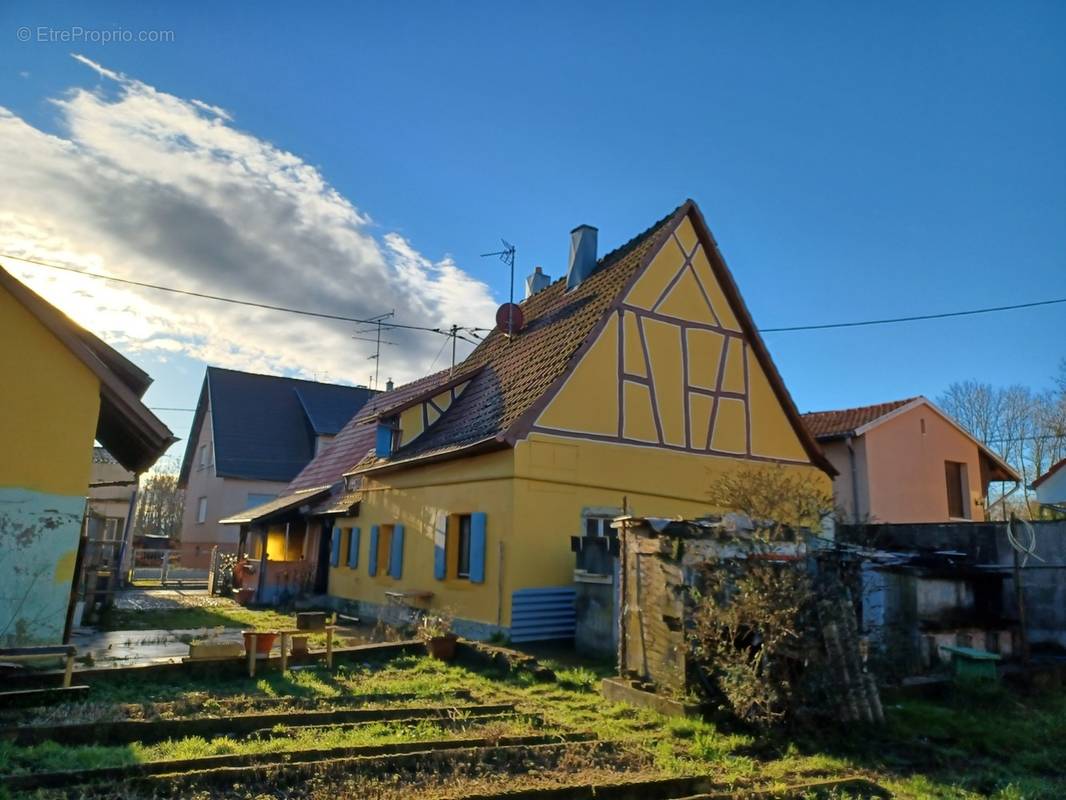 Maison à REININGUE