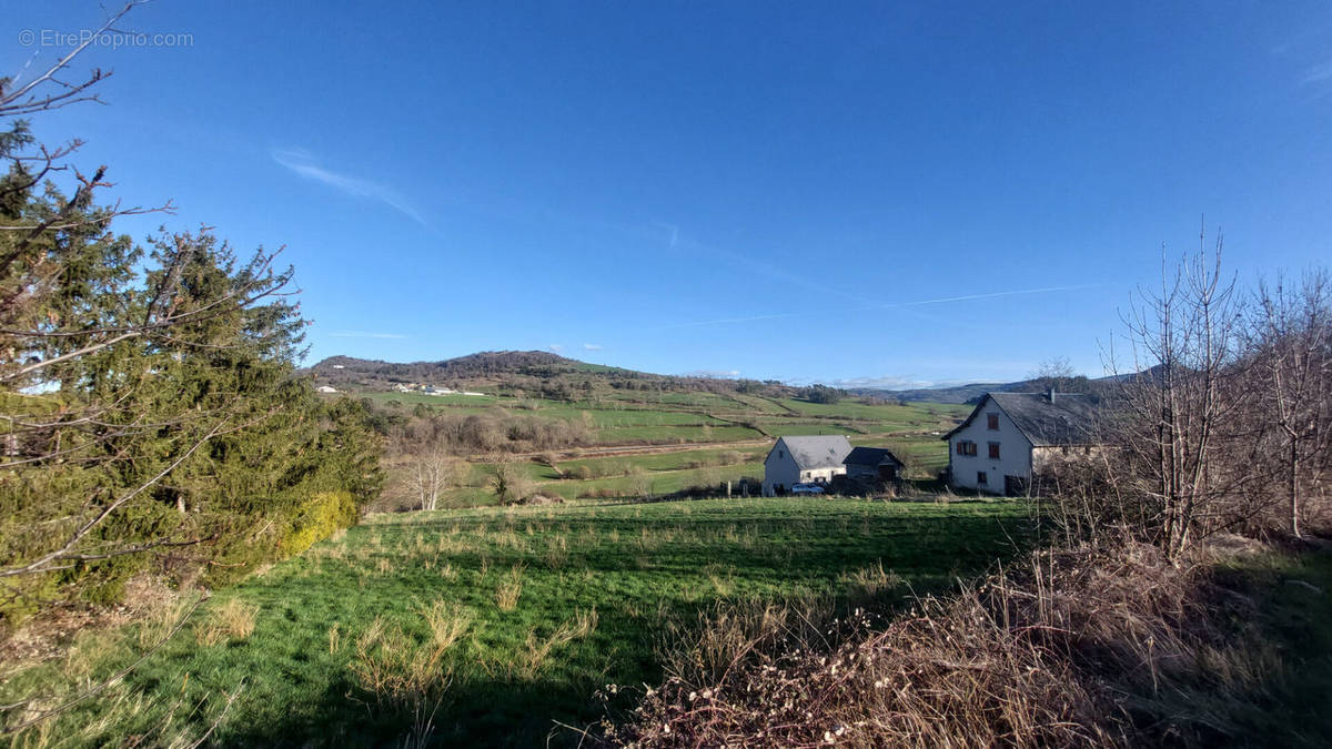 Terrain à SAINT-DIERY