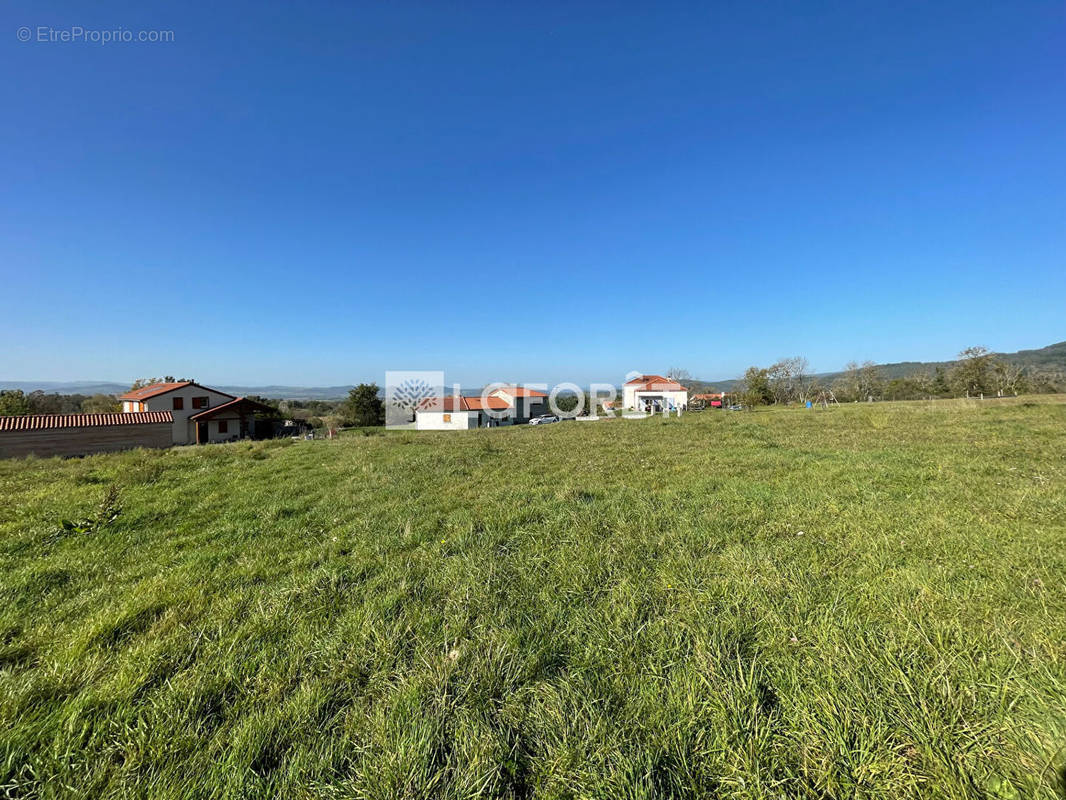 Terrain à CHAVANIAC-LAFAYETTE