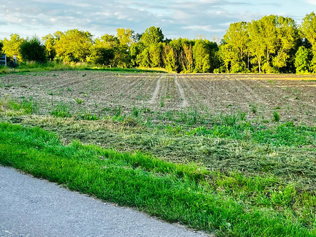 Terrain à GUERCHY