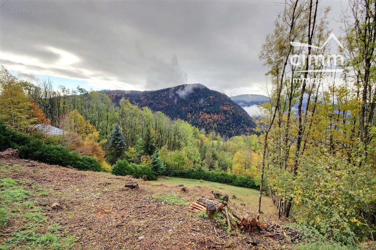 Terrain à SAINT-SIGISMOND