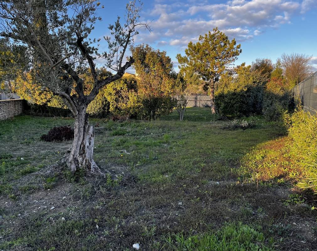 Terrain à CAVAILLON