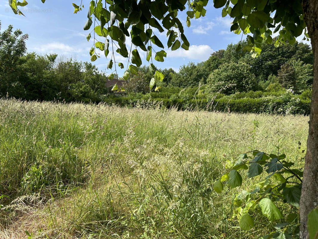 Terrain à VILLERS-COTTERETS