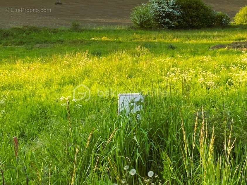 Terrain à VILLERS-SAINT-SEPULCRE