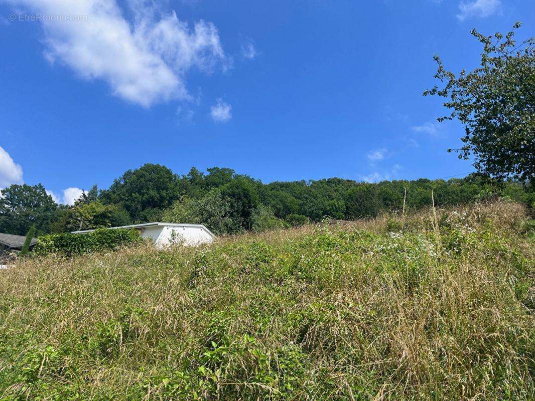 Terrain à VAUX-EN-BUGEY