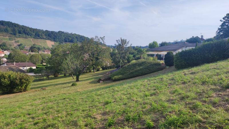 Terrain à VAUX-EN-BUGEY