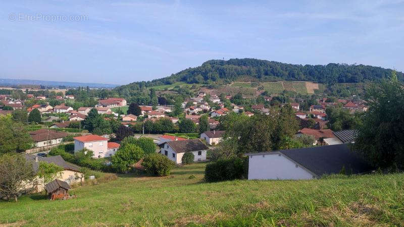 Terrain à VAUX-EN-BUGEY