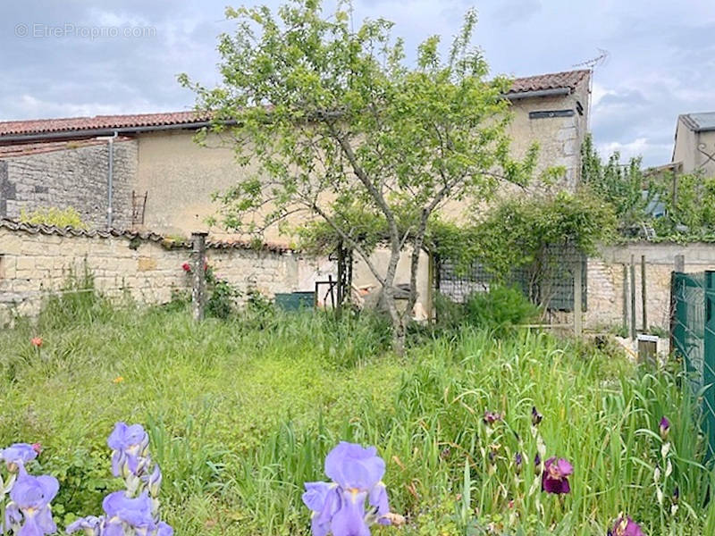 Maison à SURGERES