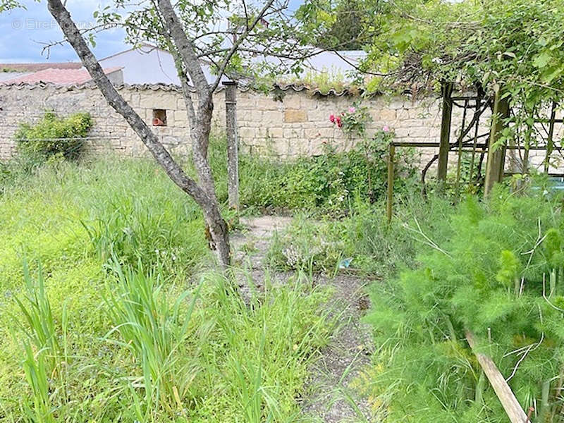 Maison à SURGERES