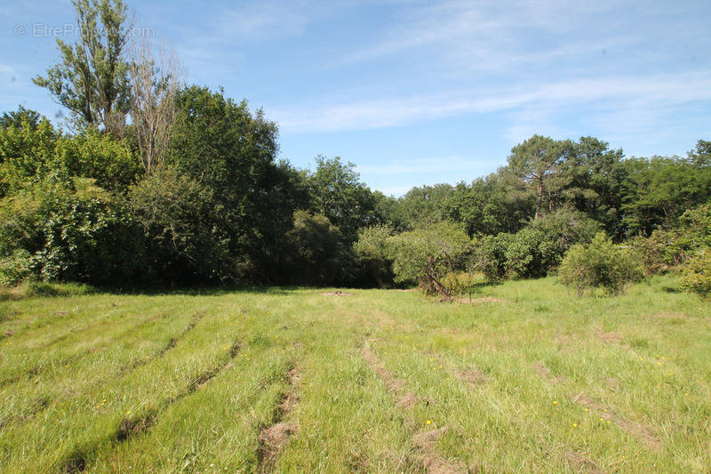 Terrain à MARMANDE