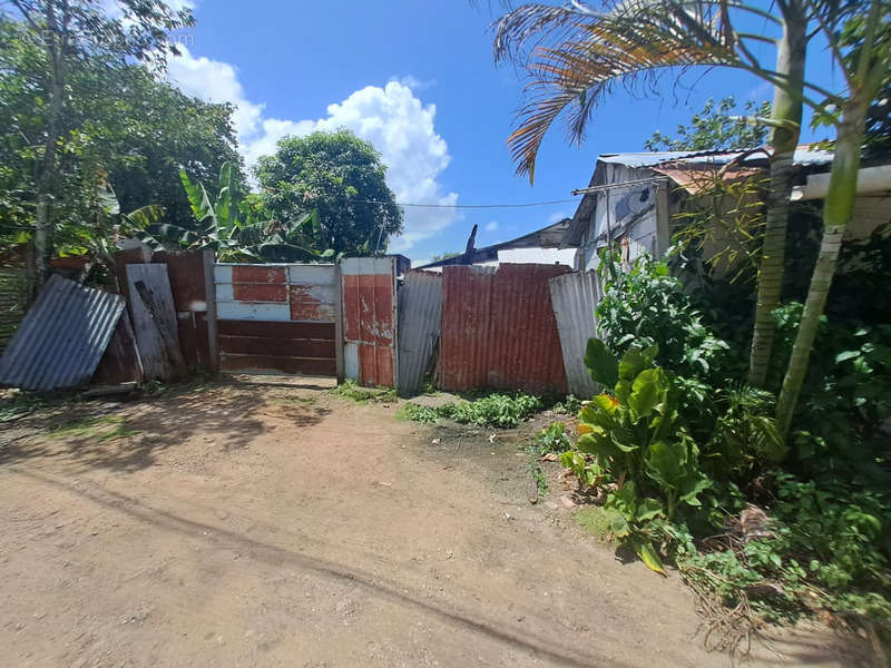 Terrain à CAYENNE