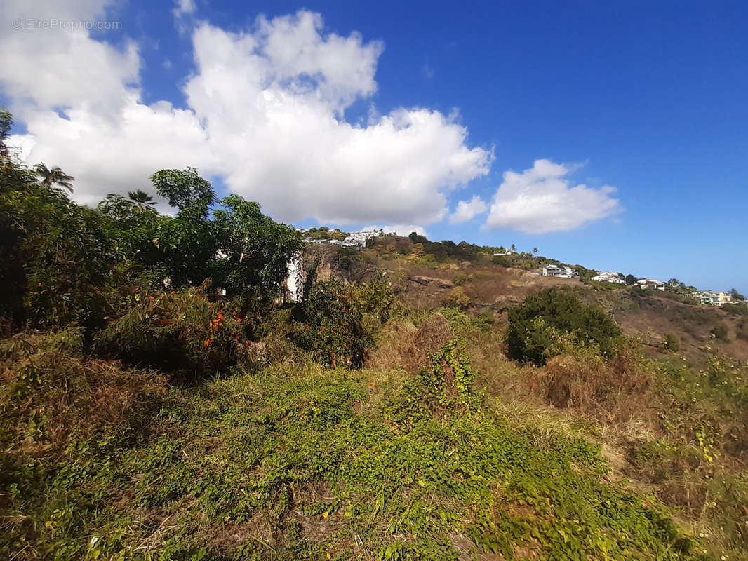 Terrain à SAINT-PAUL