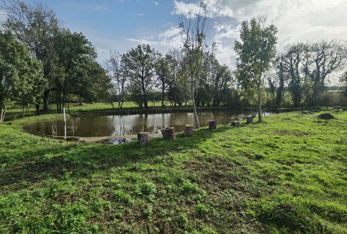 Etang ouest - Terrain à EXCIDEUIL