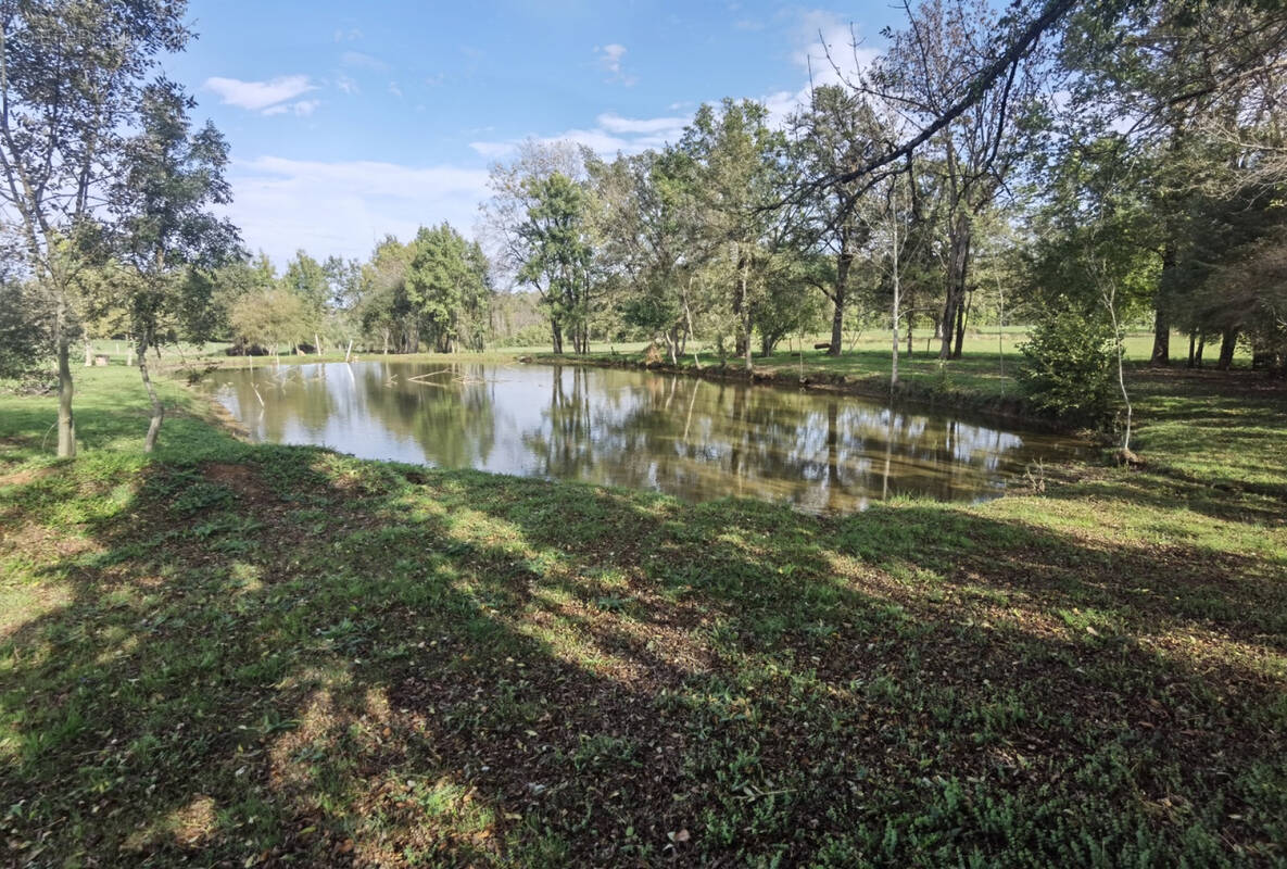 Etang Sud - Terrain à EXCIDEUIL