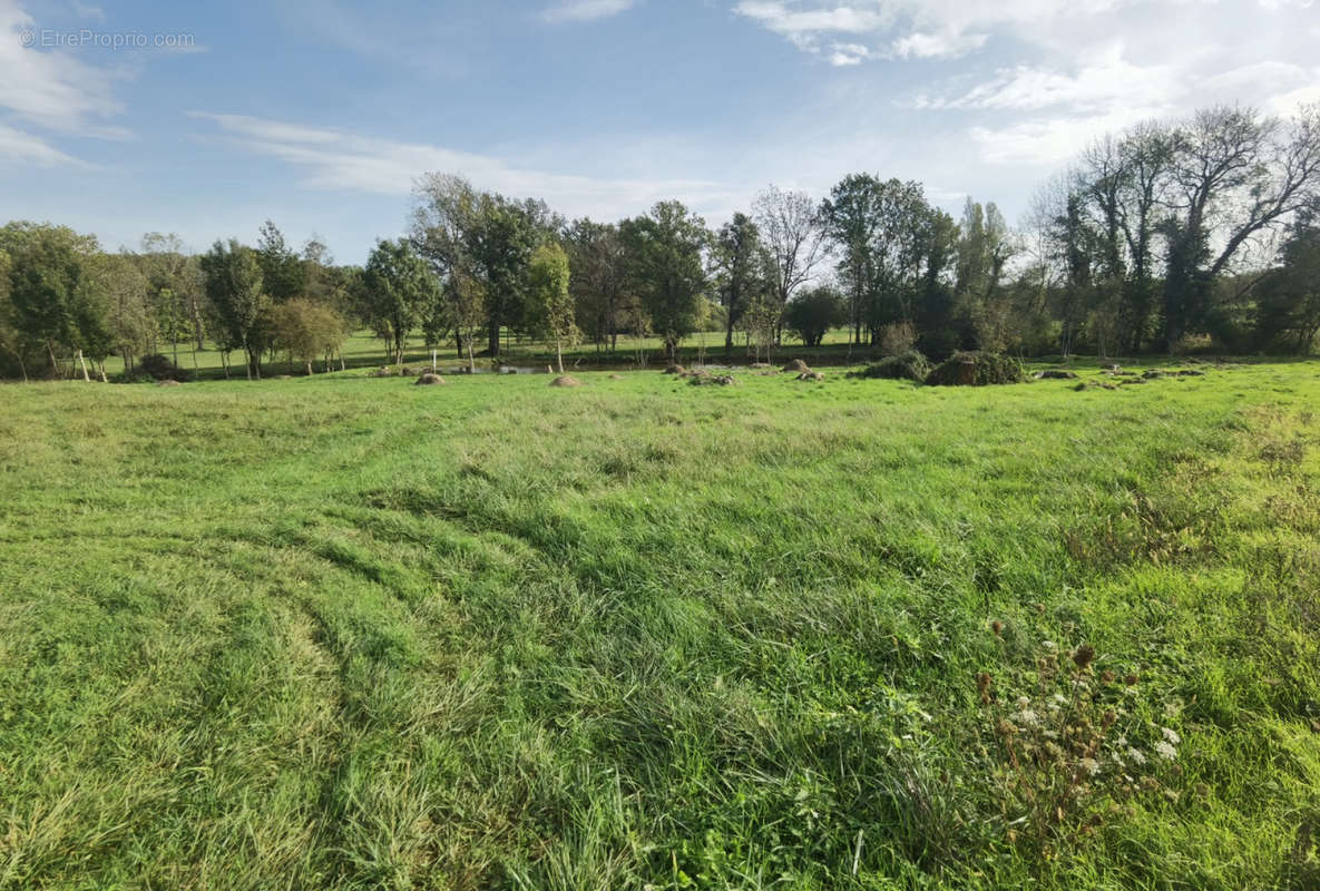 Prairie - Terrain à EXCIDEUIL