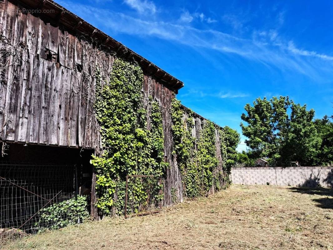 Terrain à SAINT-MACAIRE