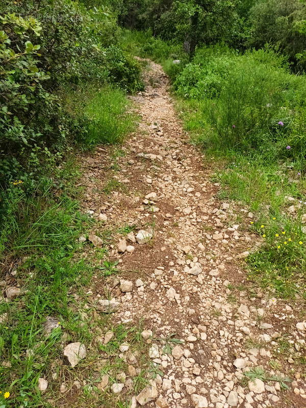 Terrain à ROQUEFORT-LES-PINS