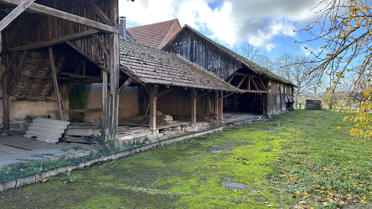 Terrain à ALTENHEIM