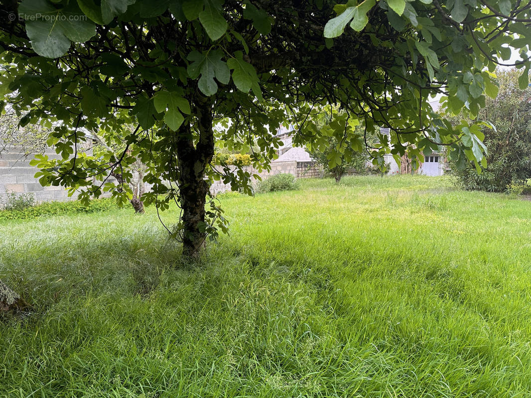 Terrain à SAINT-PALAIS-SUR-MER