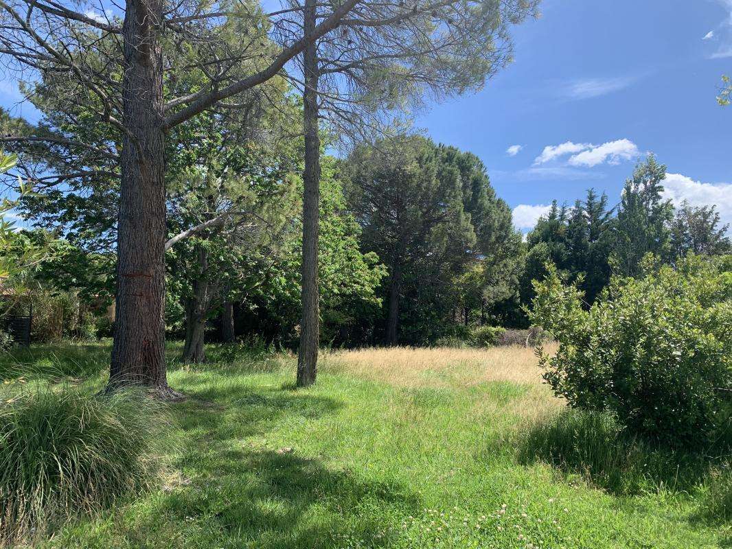 Terrain à SAINT-MARTIN-DE-CRAU