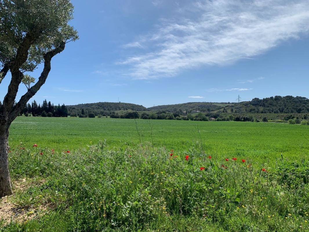 Terrain à LANCON-PROVENCE