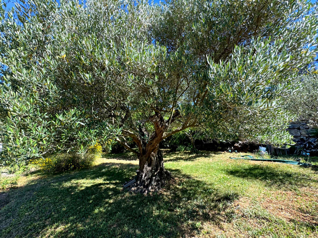 Maison à MOISSAC-BELLEVUE