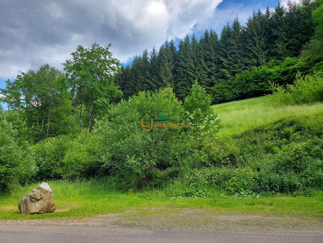 Terrain à GRANDFONTAINE