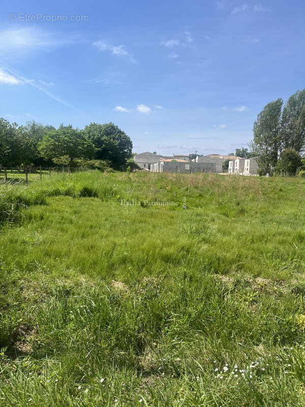 Terrain à SAINT-SULPICE-ET-CAMEYRAC