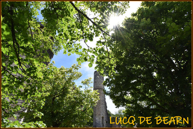 Terrain à LUCQ-DE-BEARN