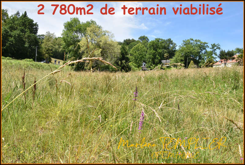 Terrain à LUCQ-DE-BEARN