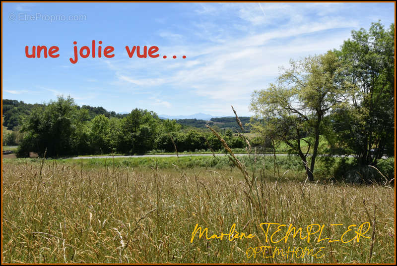 Terrain à LUCQ-DE-BEARN