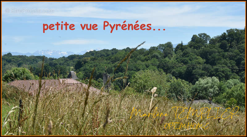 Terrain à LUCQ-DE-BEARN