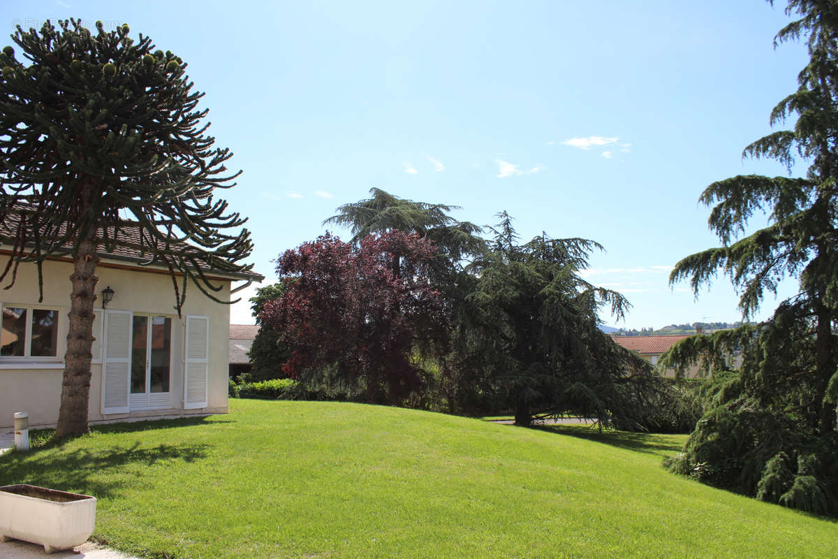 Maison à CHAZAY-D&#039;AZERGUES