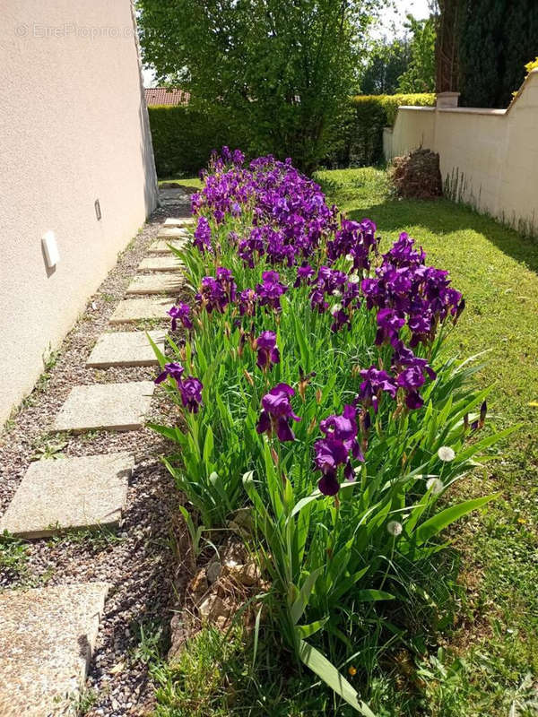 Maison à LEZOUX