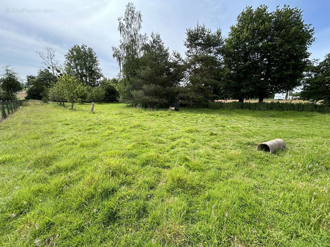 Terrain à CHASNE-SUR-ILLET