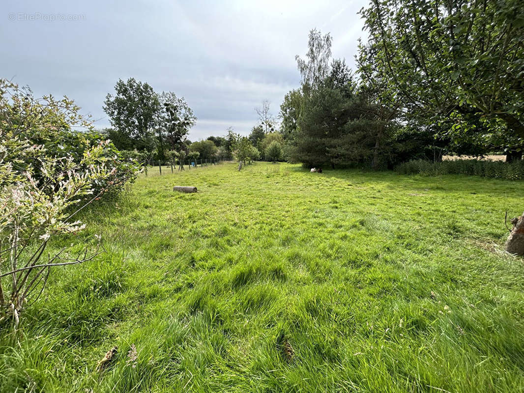 Terrain à CHASNE-SUR-ILLET