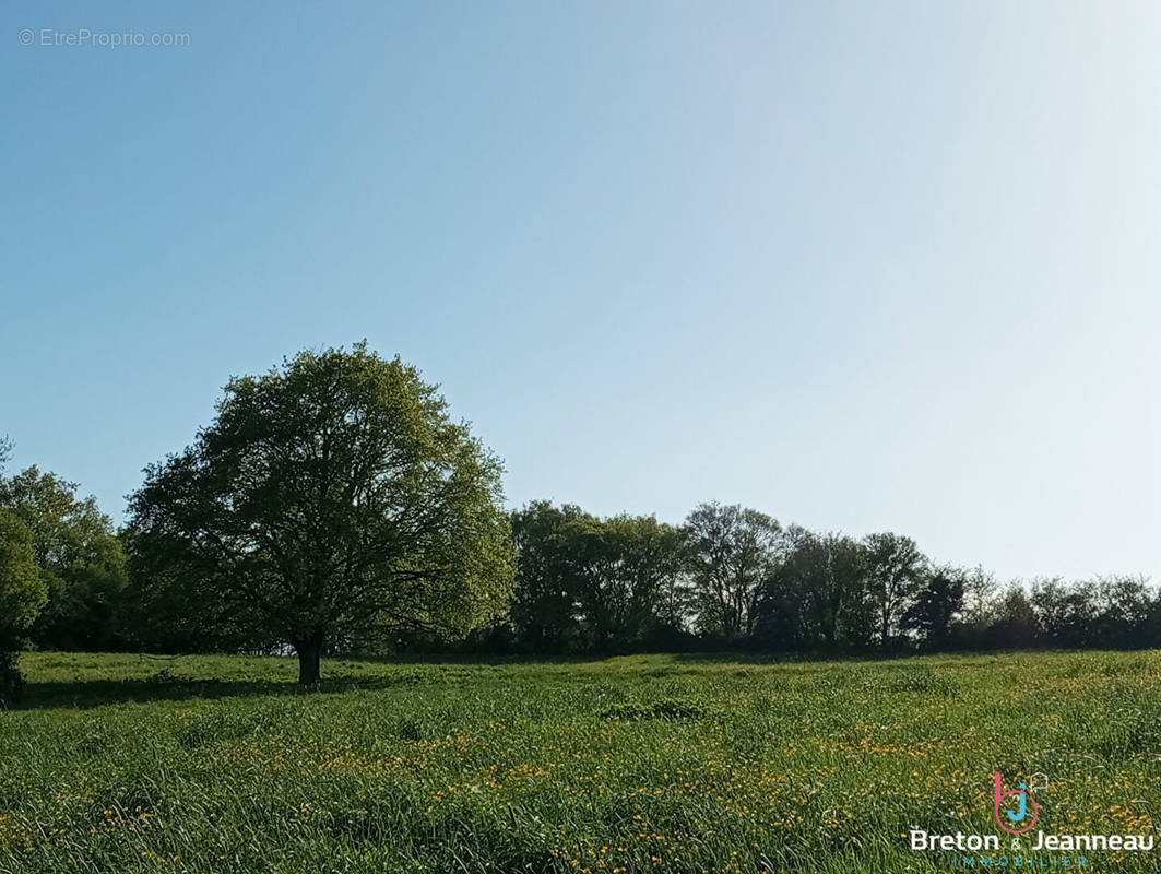 Terrain à BRULON