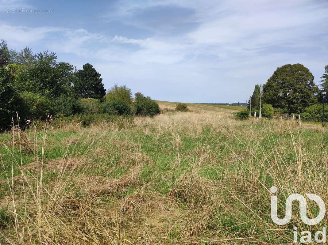 Photo 2 - Terrain à SAINT-LUBIN-DE-LA-HAYE