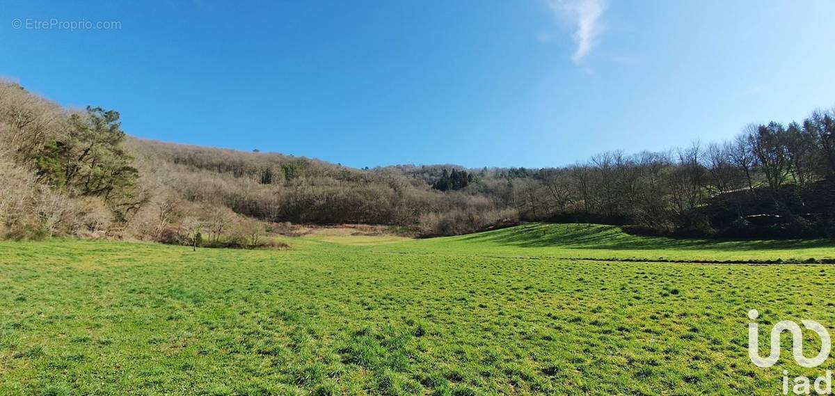 Photo 1 - Terrain à MONCEAUX-SUR-DORDOGNE