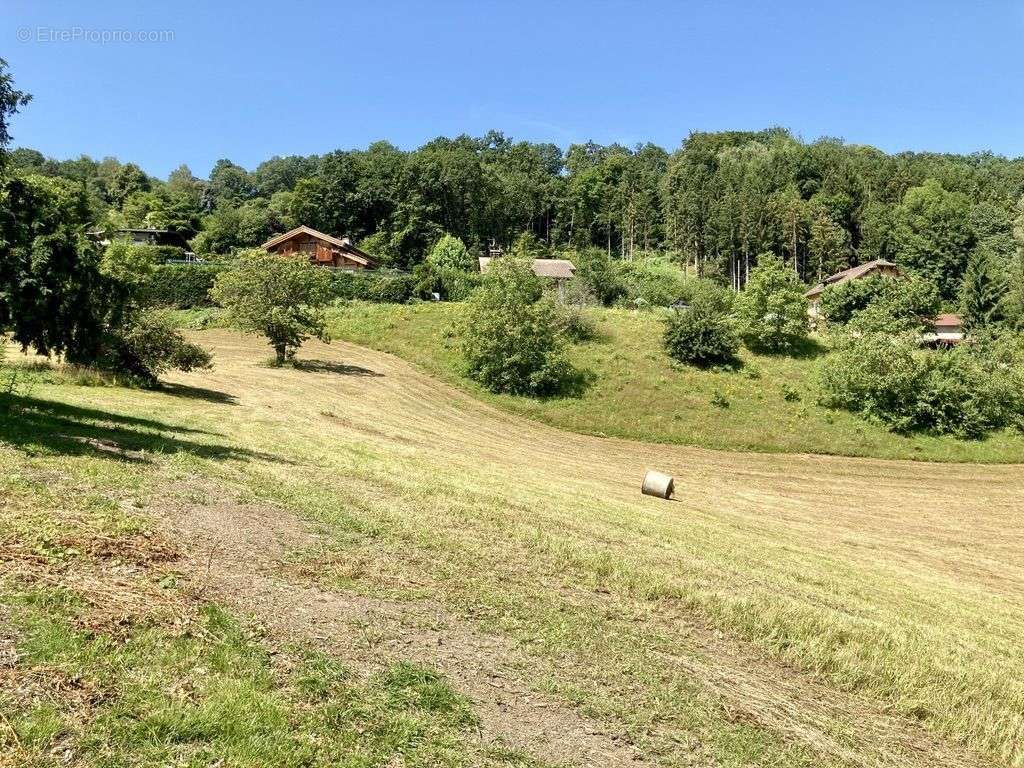 Terrain à SALLANCHES