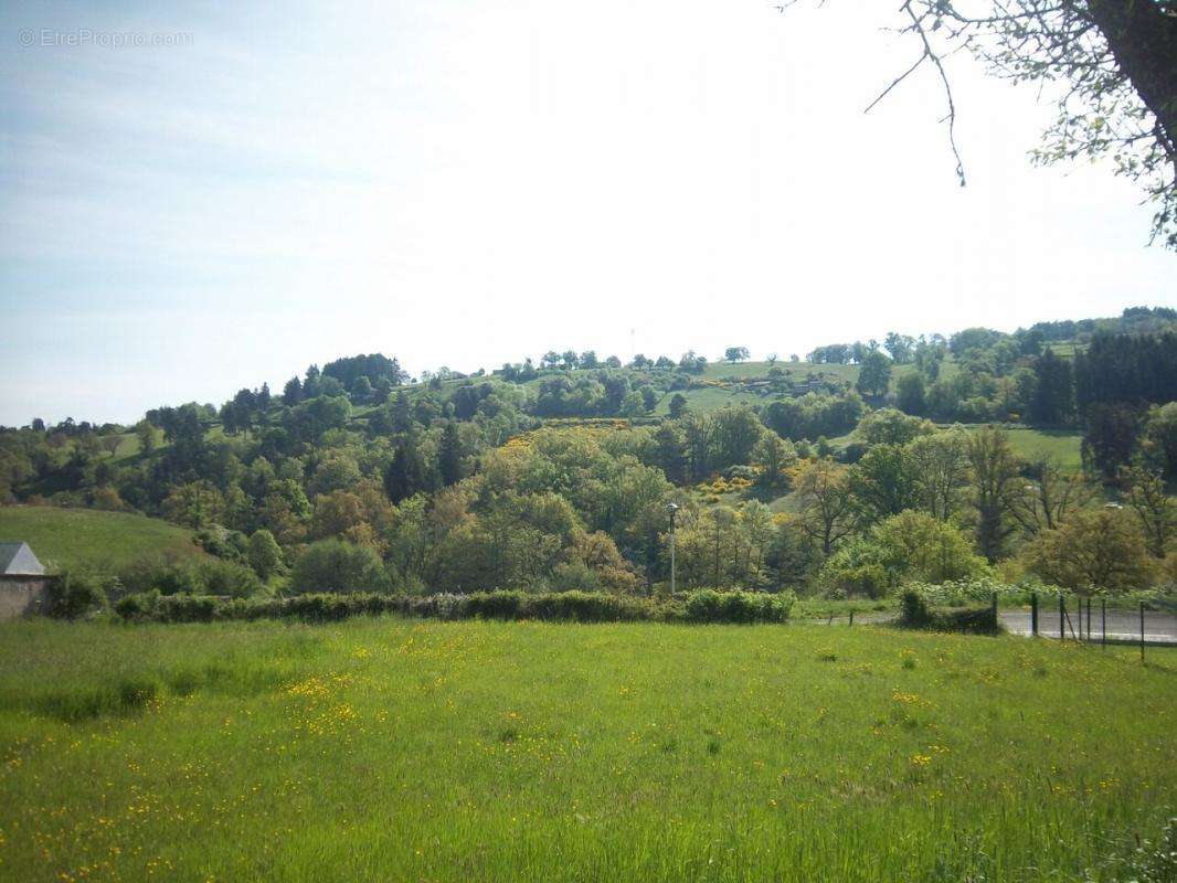 Terrain à SAINT-DIER-D&#039;AUVERGNE